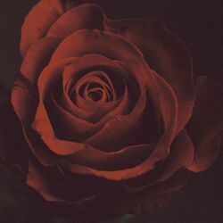 Cover of Tentación