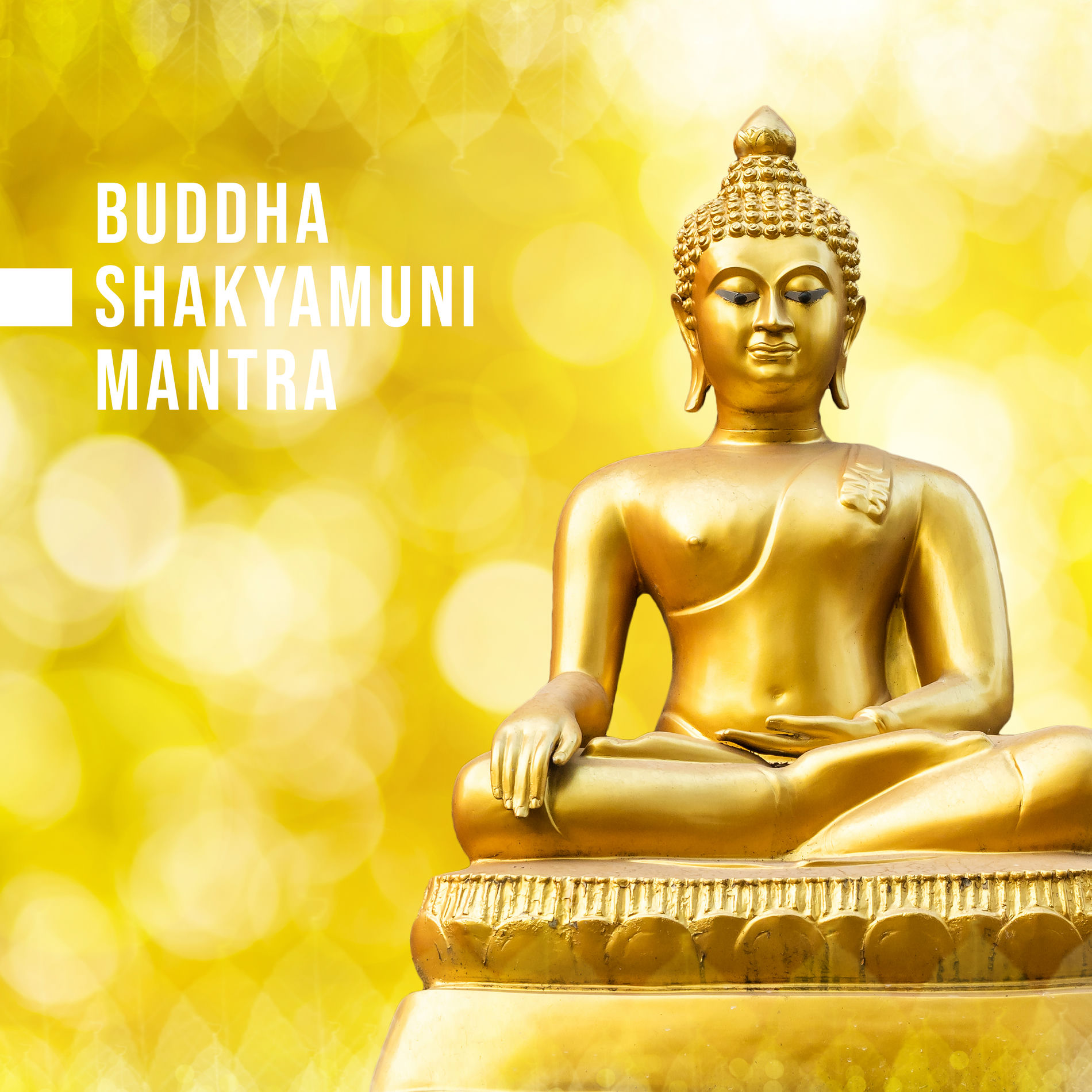 Buddha Music Sanctuary - Buddha Shakyamuni Mantra (Om Muni