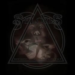 Cover of Different Masks on the Same Face
