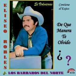 Cover of Si Volvieras