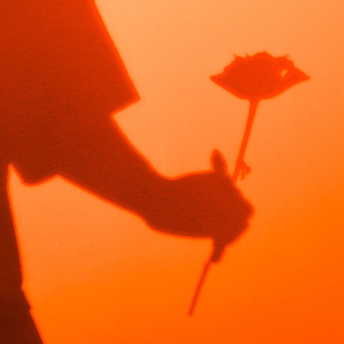 Album cover of close to you