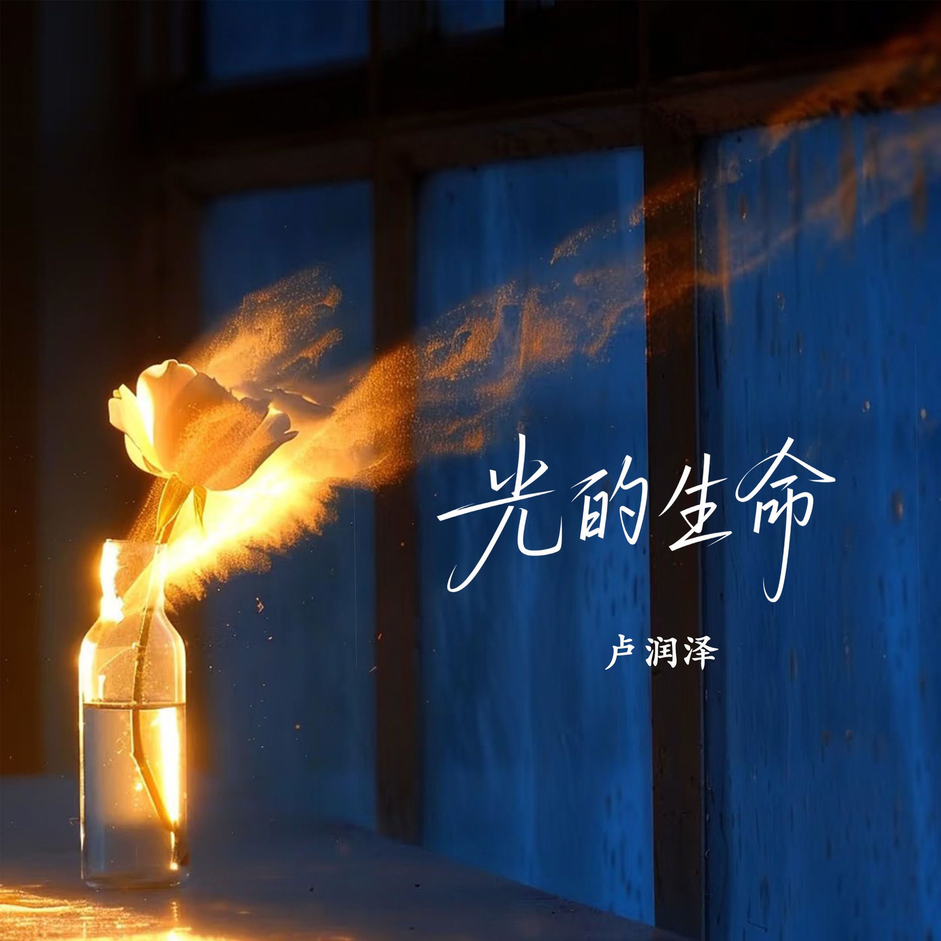 Album cover of 光的生命