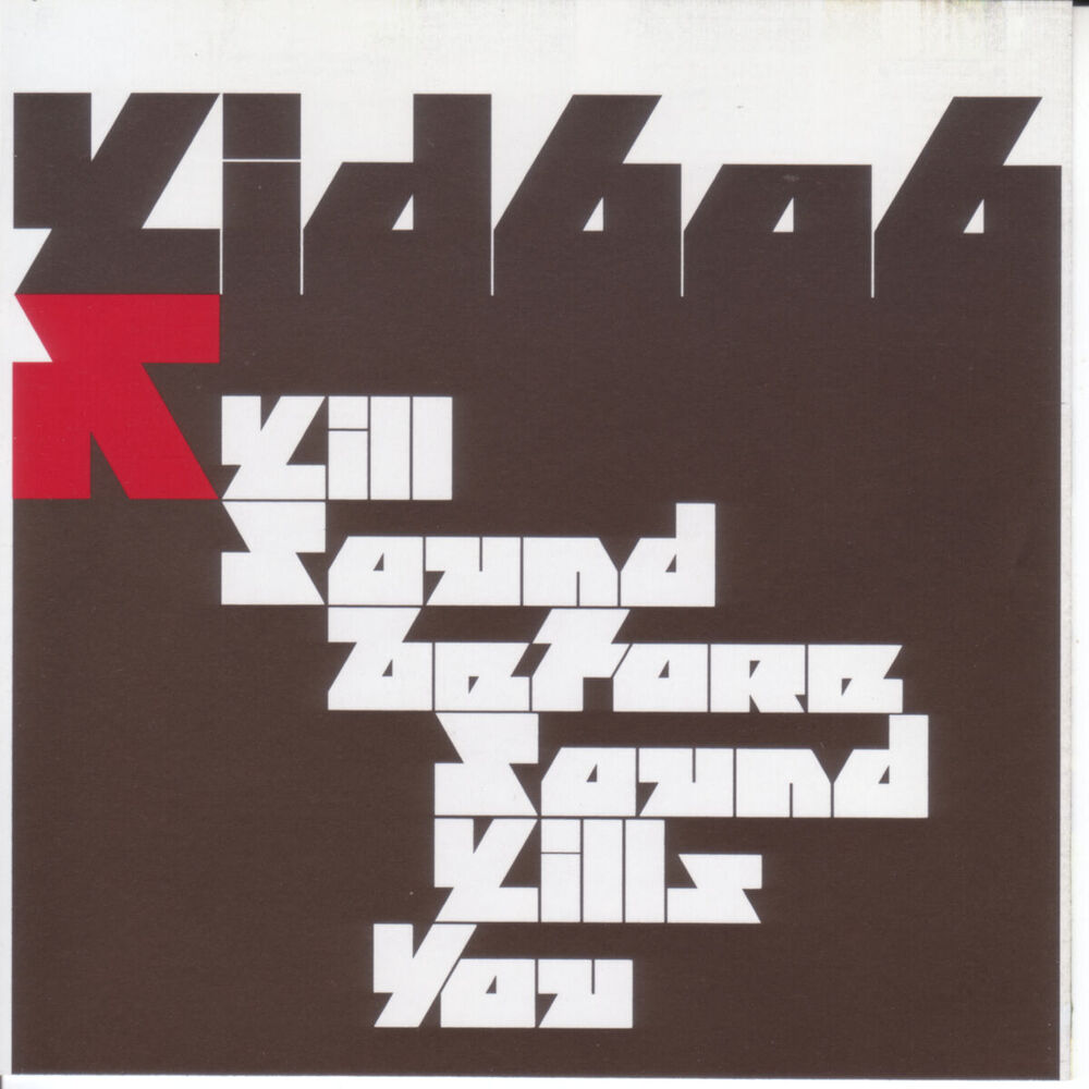 Picture of Kill Sound Before Sound Kills You