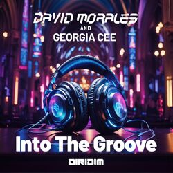 Cover of INTO THE GROOVE