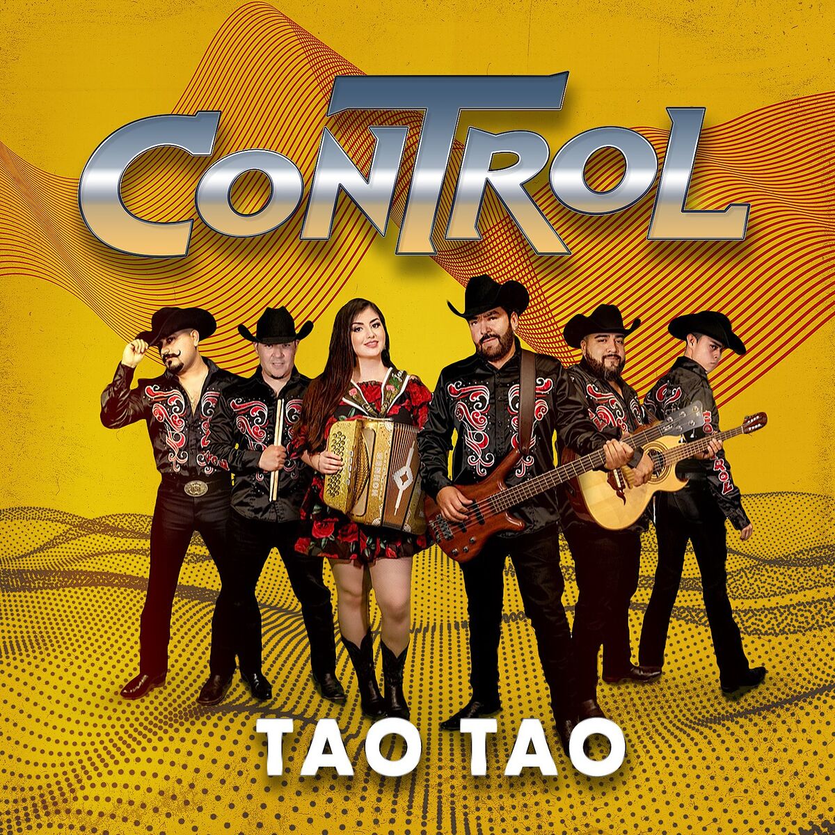 Album cover of Tao Tao