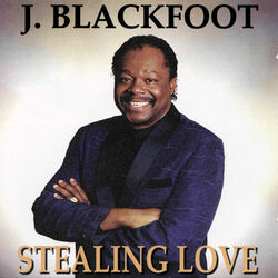 Cover of Stealing Love