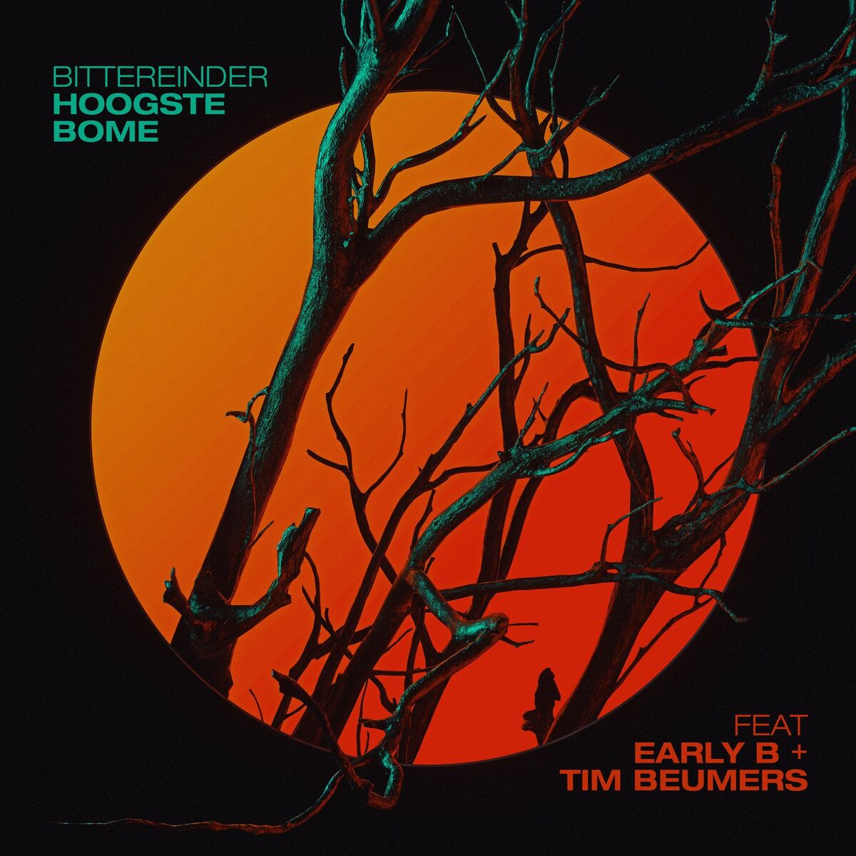 Album cover of Hoogste Bome