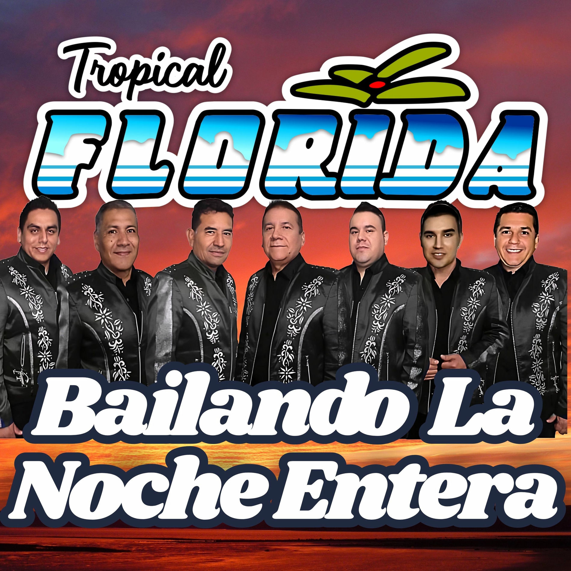 Album cover of Bailando La Noche Entera