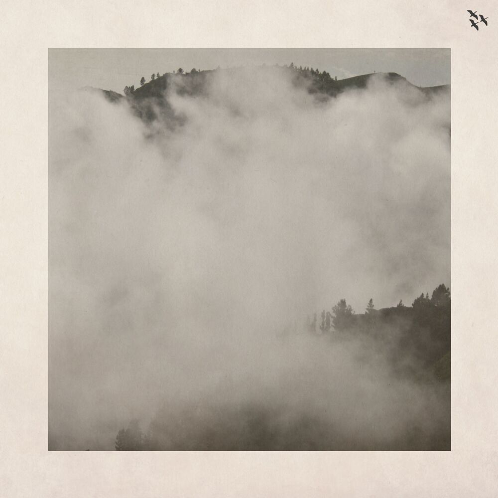 Picture of Buteo EP
