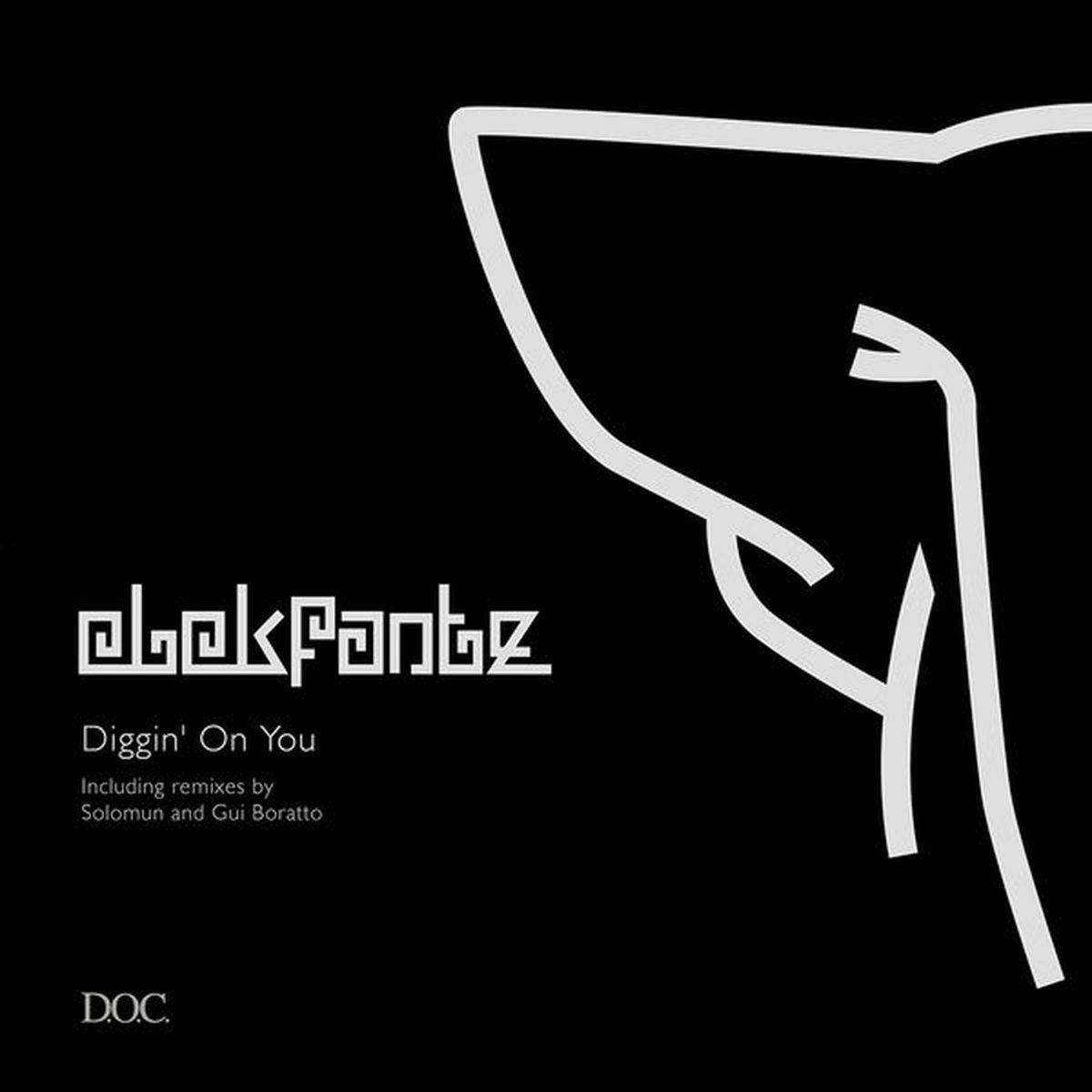 Album cover of Diggin' On You