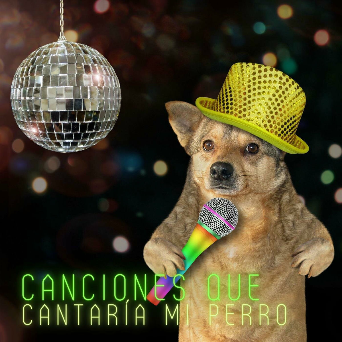 Album cover of Canciones que cantaría mi perro