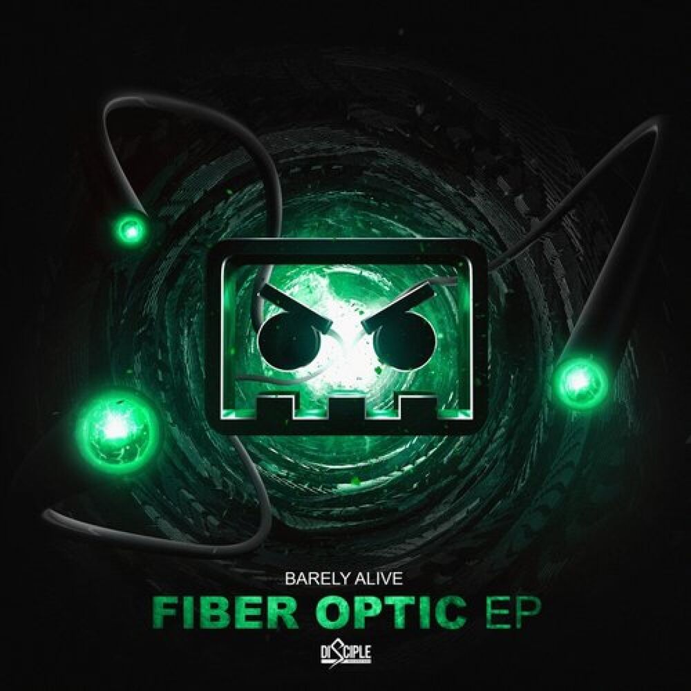 Picture of Fiber Optic EP