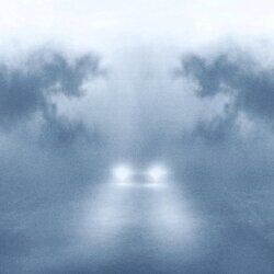 Cover of Brume