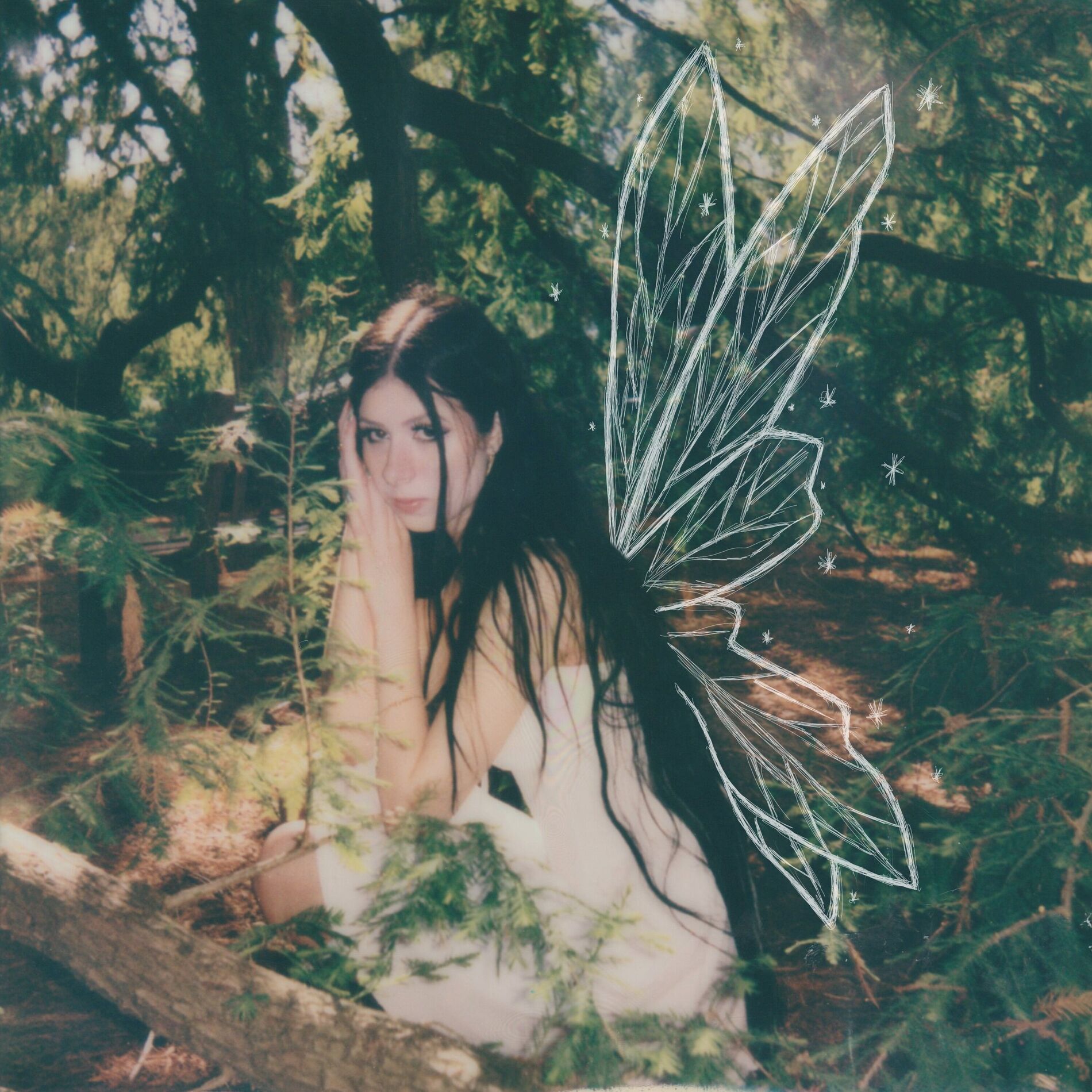 Album cover of fairies