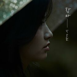 Cover of Rainy Season