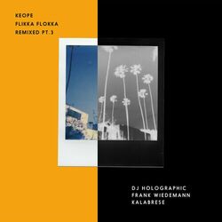 Cover of FLIKKA FLOKKA Remixed Pt.3