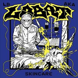 Cover of Skincare