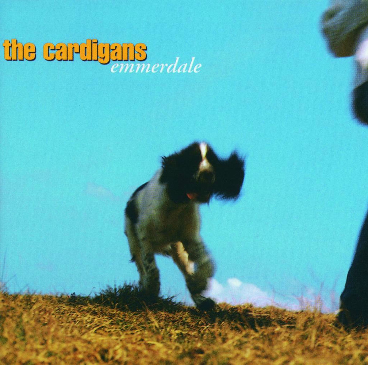 Album cover of In The Afternoon