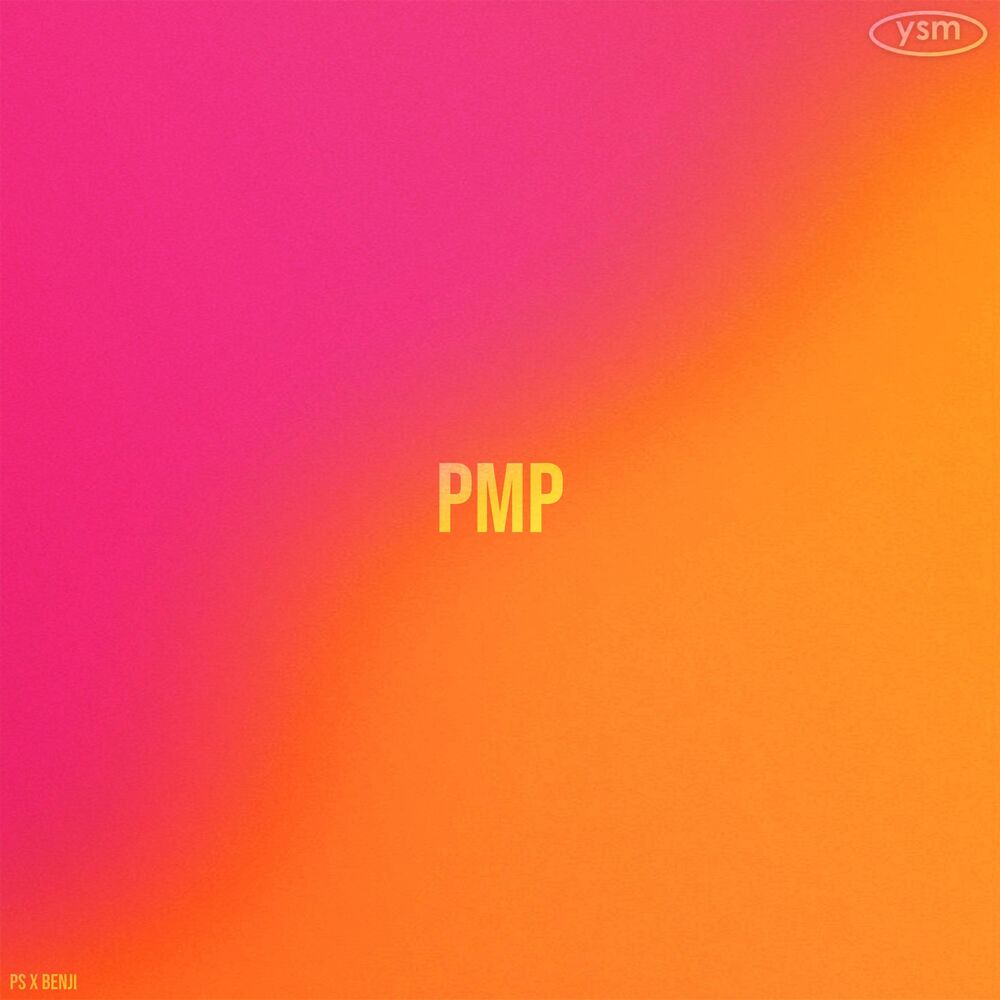 Picture of PMP (feat. PS)