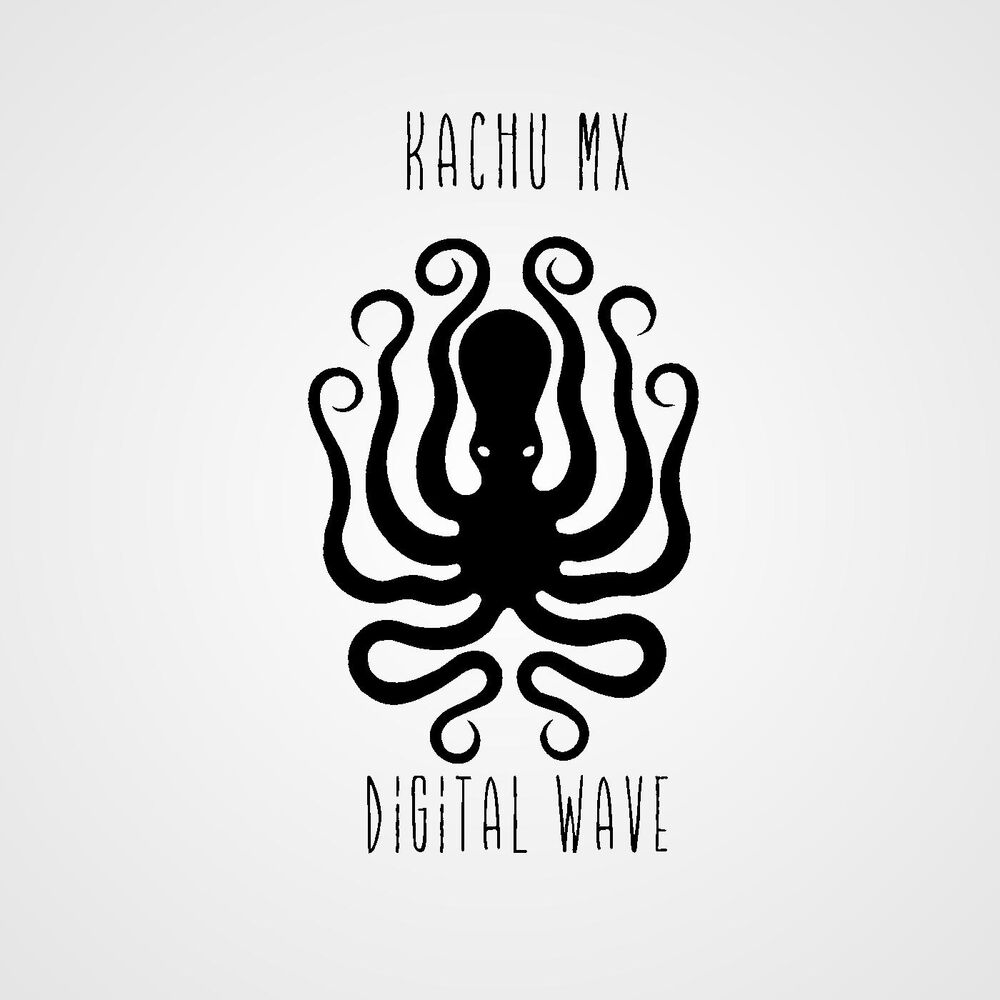 Picture of Digital Wave