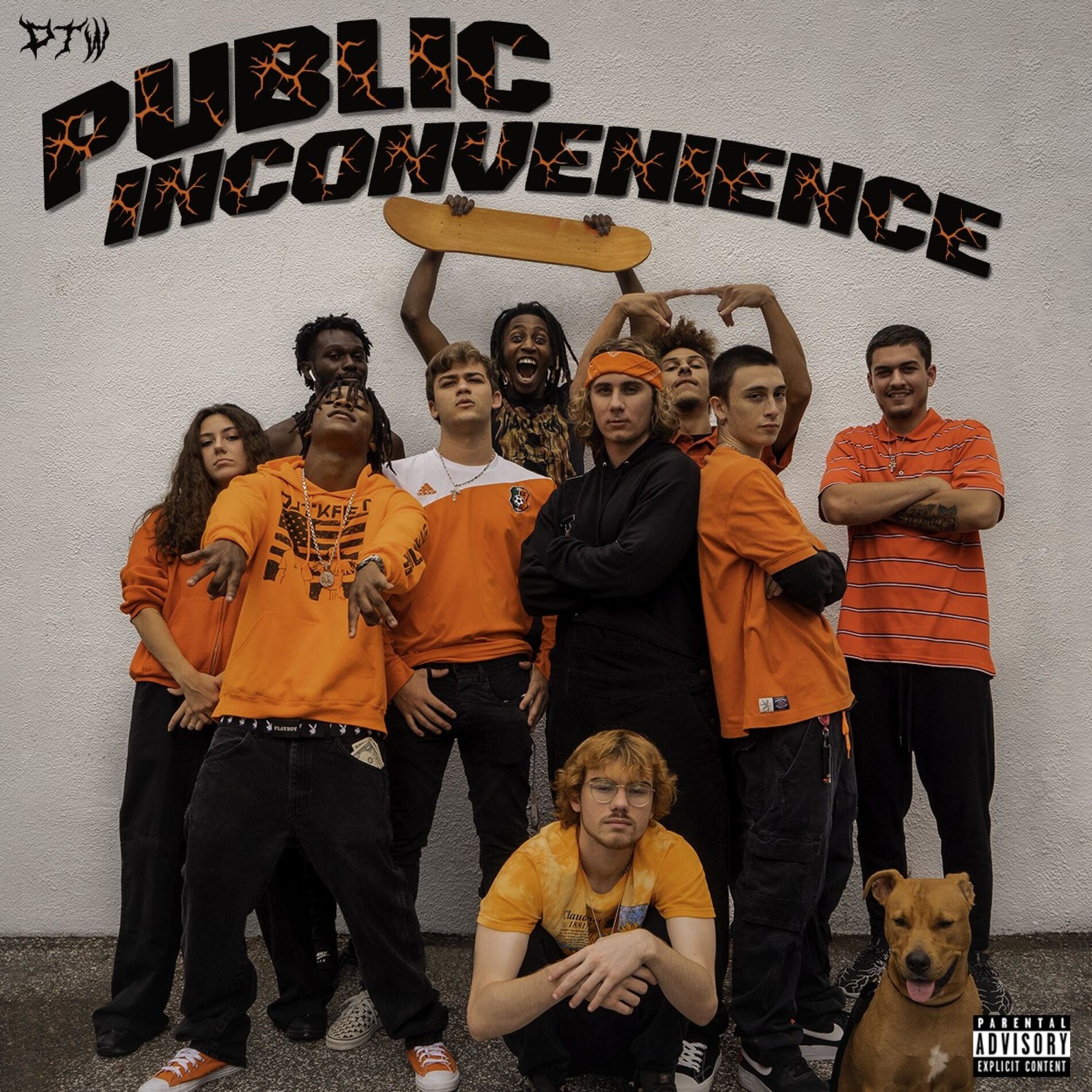Album cover of Public Inconvenience