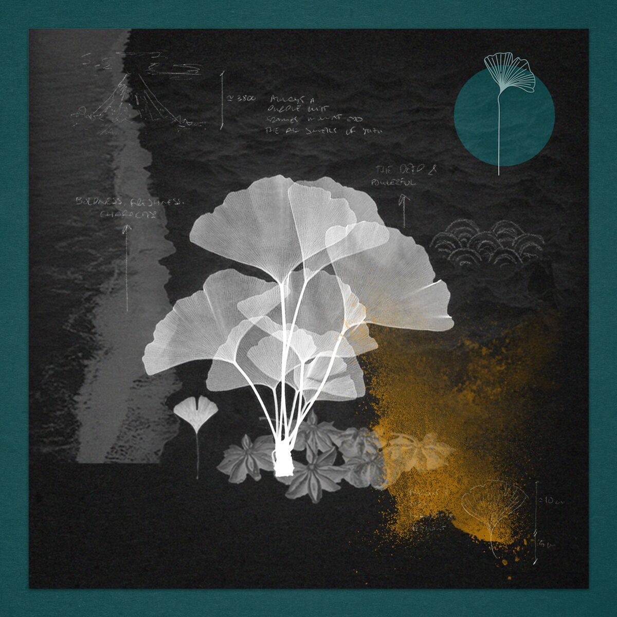 Album cover of Eternal Roots