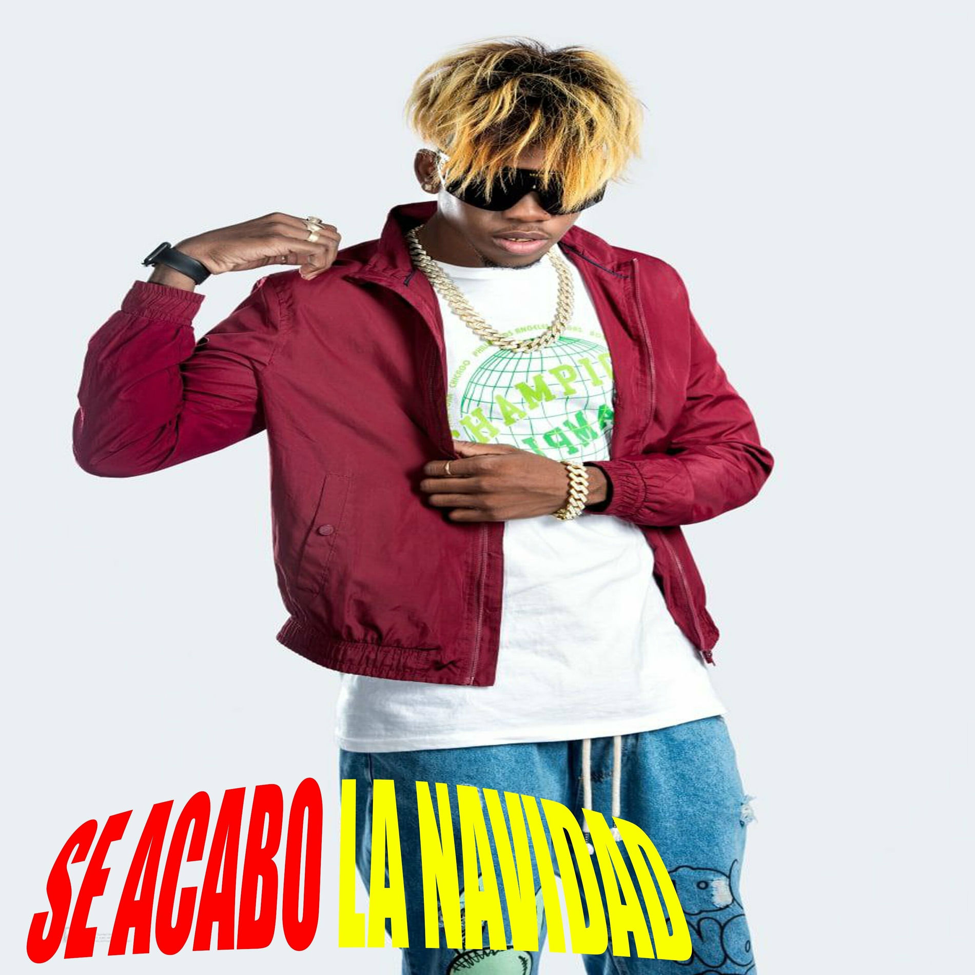 Album cover of Se Acabo la Navidad