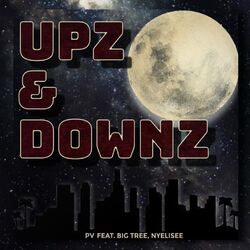 Cover of Upz & Downz (feat. Nyelisee & Big Tree)