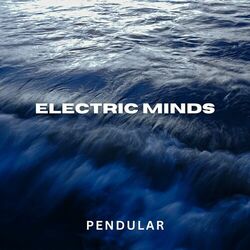 Cover of Electric Minds