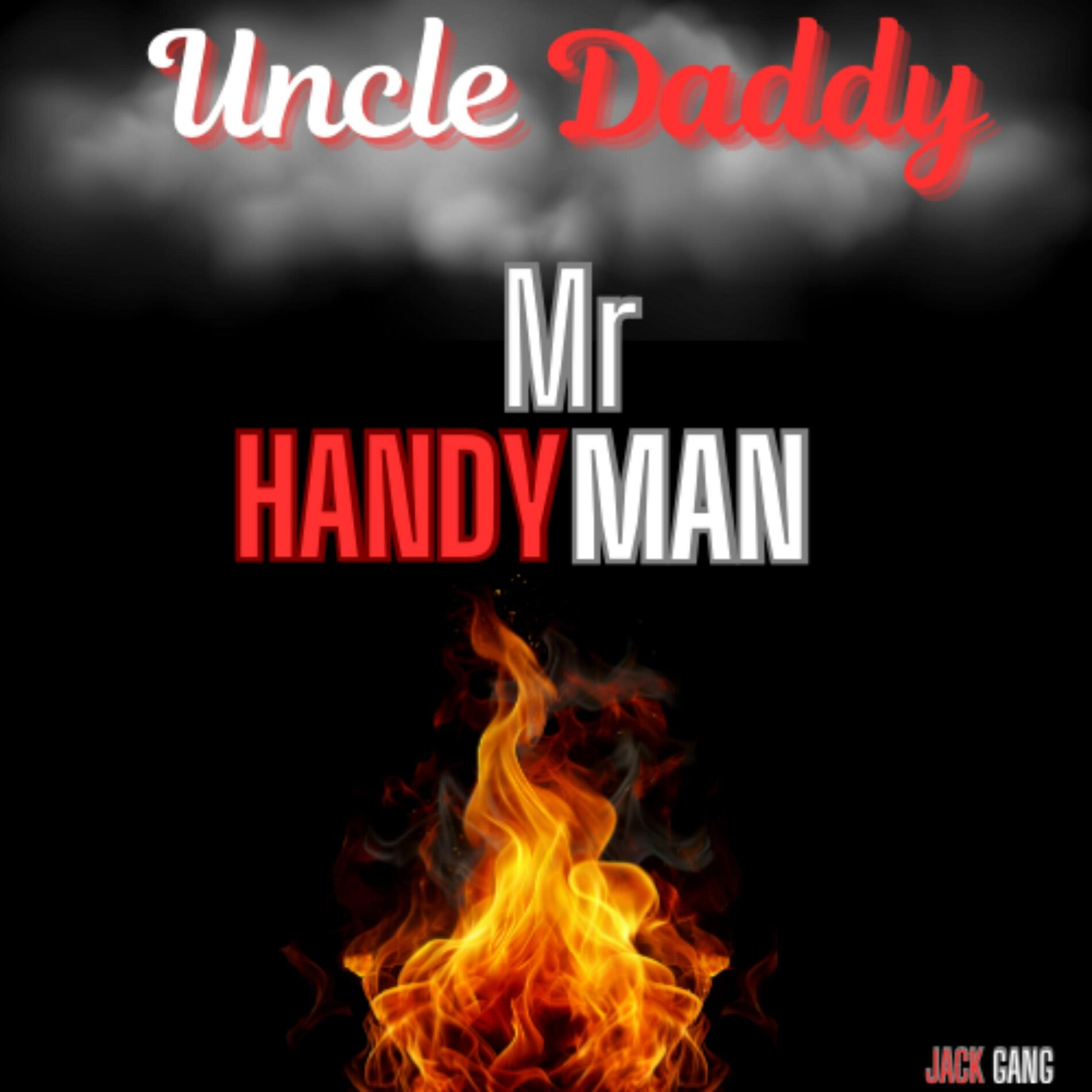 Album cover of Mr HandyMan