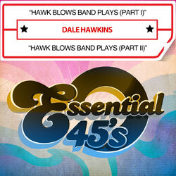 Cover of Hawk Blows Band Plays (Digital 45)