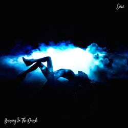 Cover of Burning In The Dark