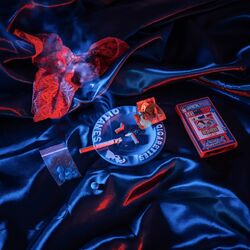 Cover of Sexual Luv
