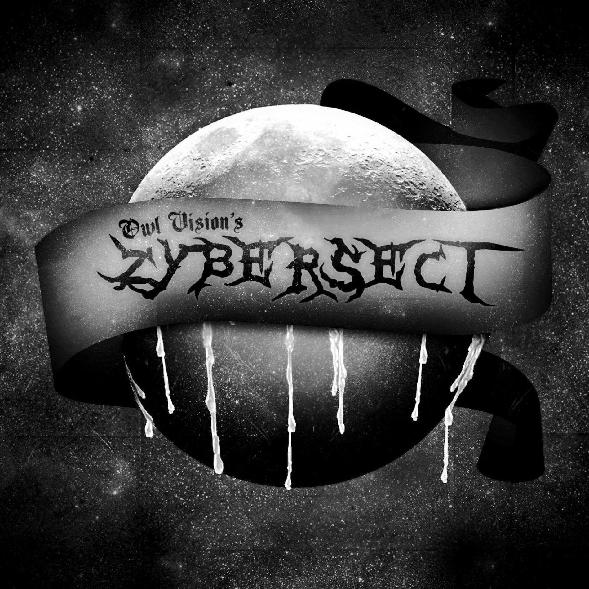Album cover of Zybersect