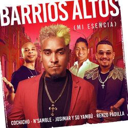 Cover of Barrios Altos Mi Esencia