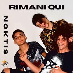 Cover of Rimani qui