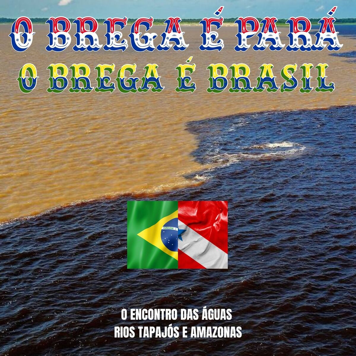 Album cover of O Brega é Pará, O Brega é Brasil