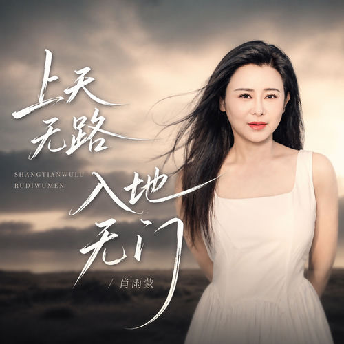 上天无路入地无门