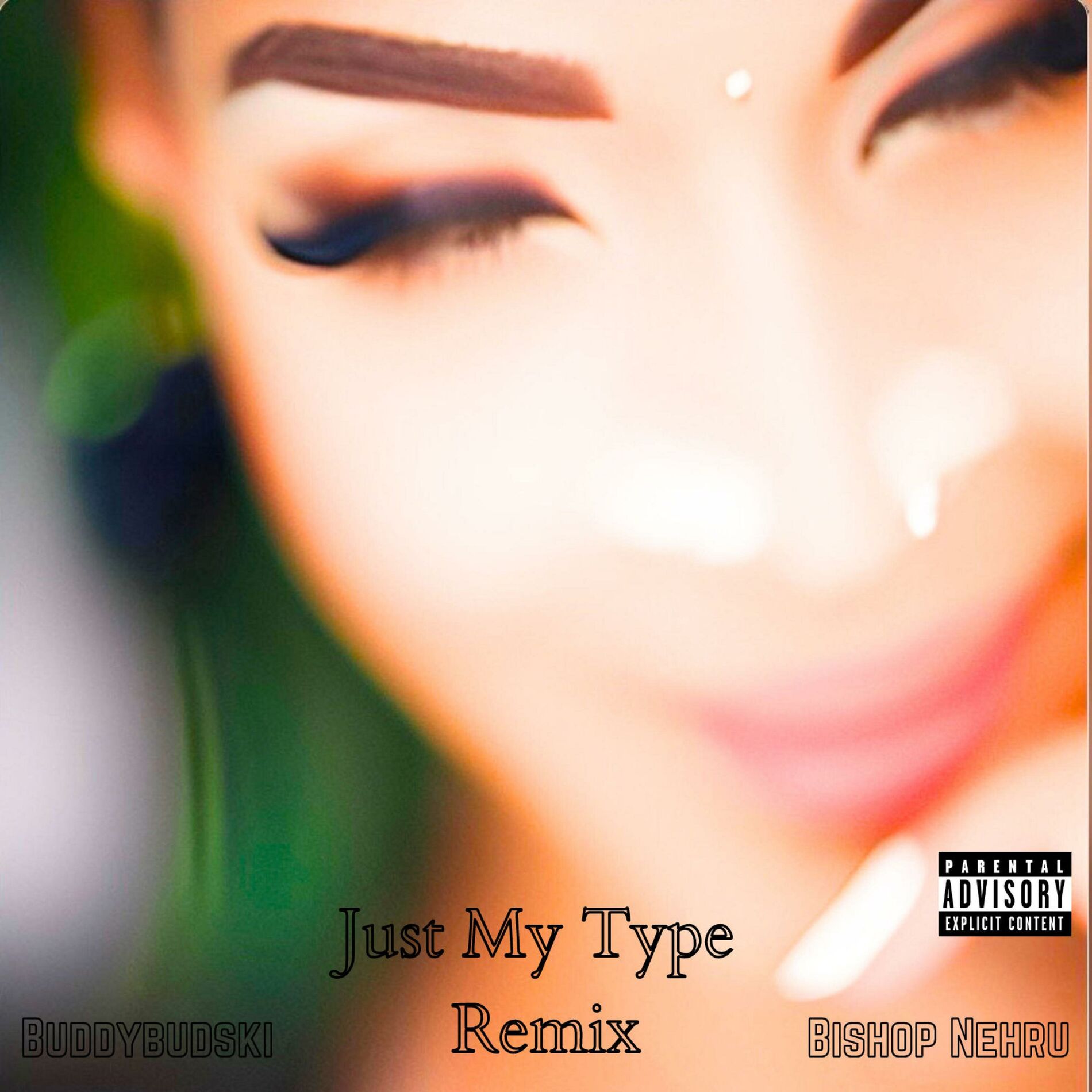 Album cover of Just My Type (feat. Bishop Nehru) [Remix]