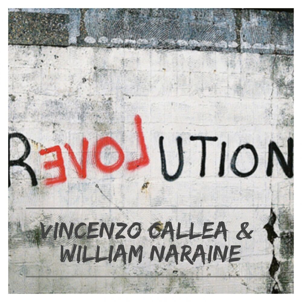 Picture of Revolution