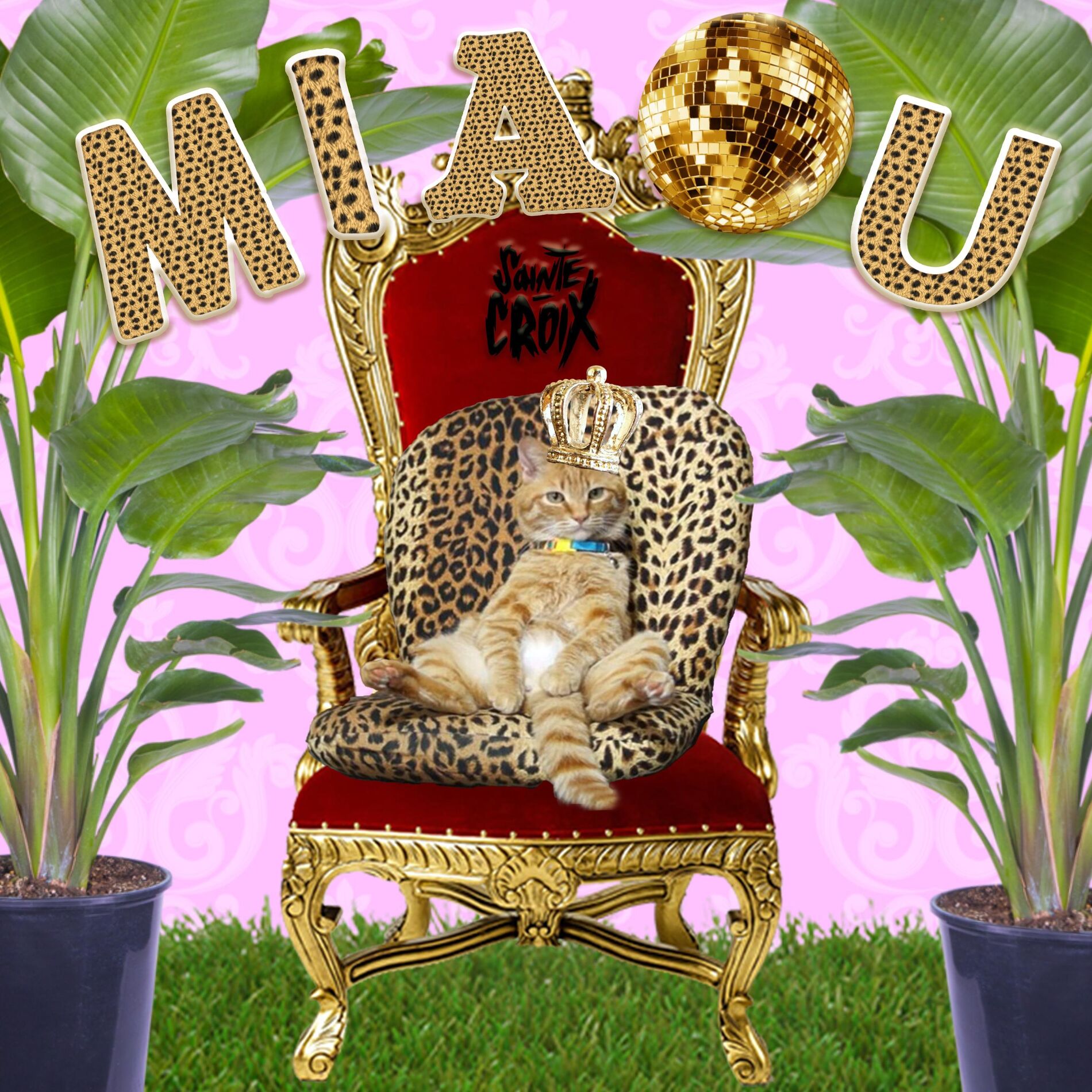 Album cover of Miaou