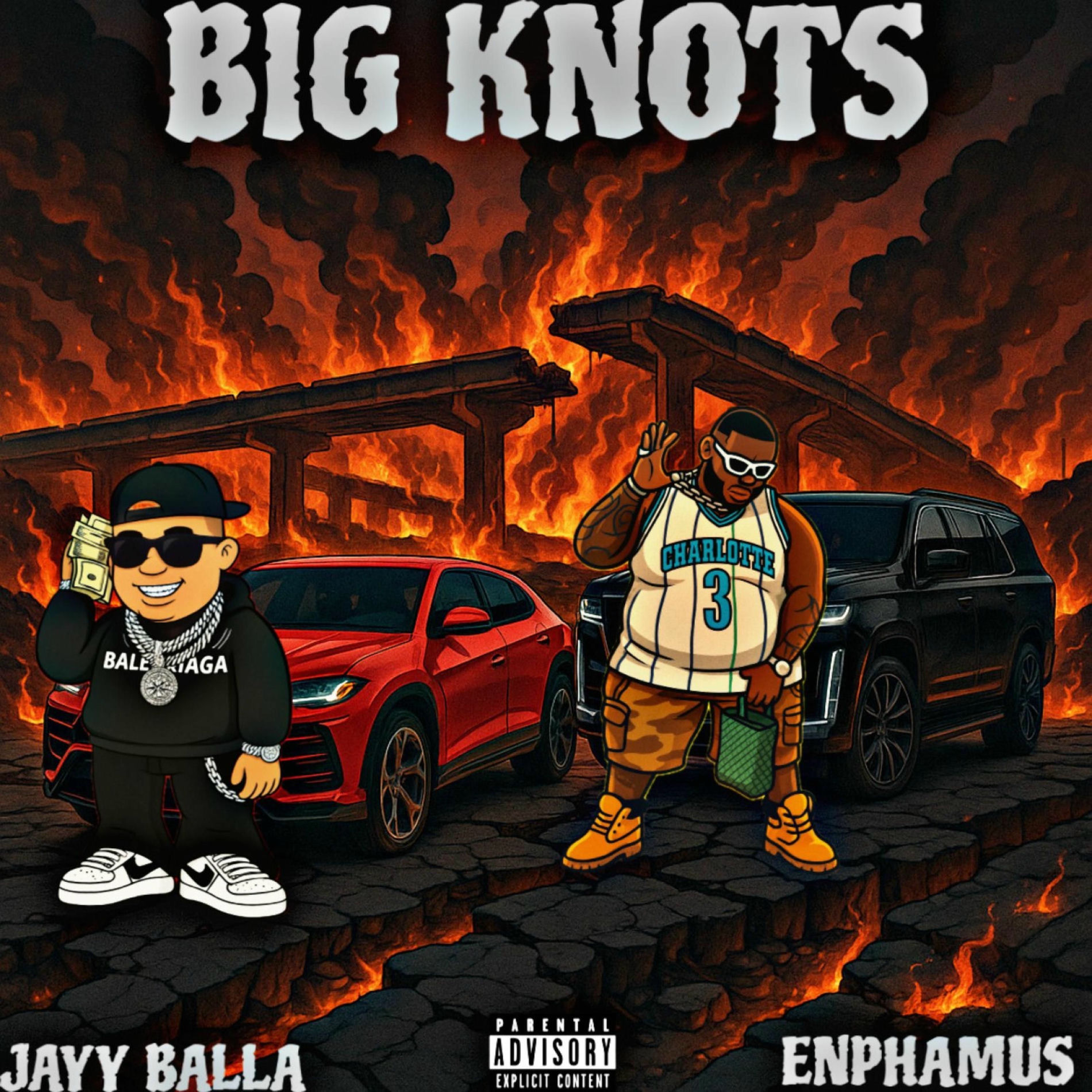 Album cover of BIG KNOTS