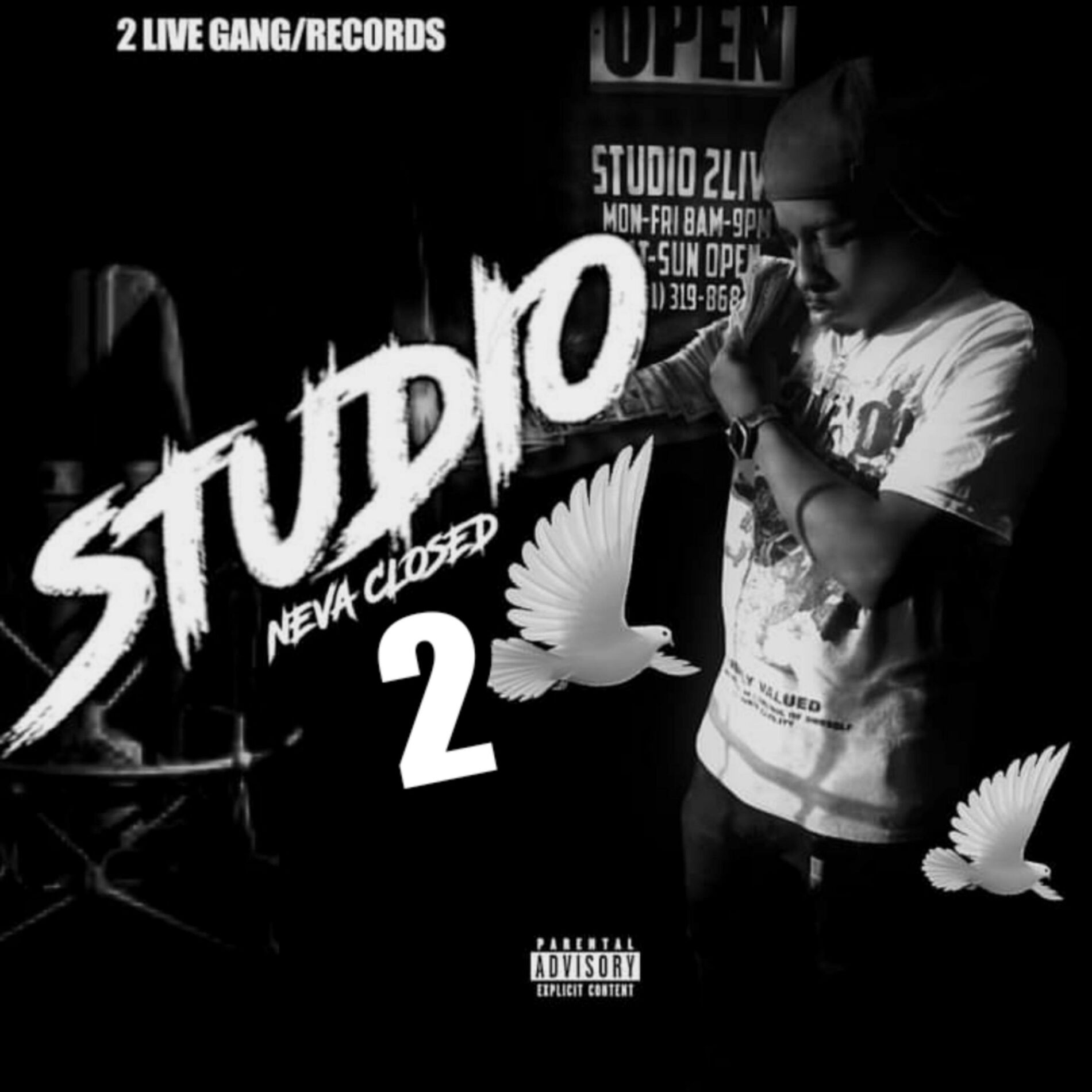 Album cover of Studio Neva Closed 2