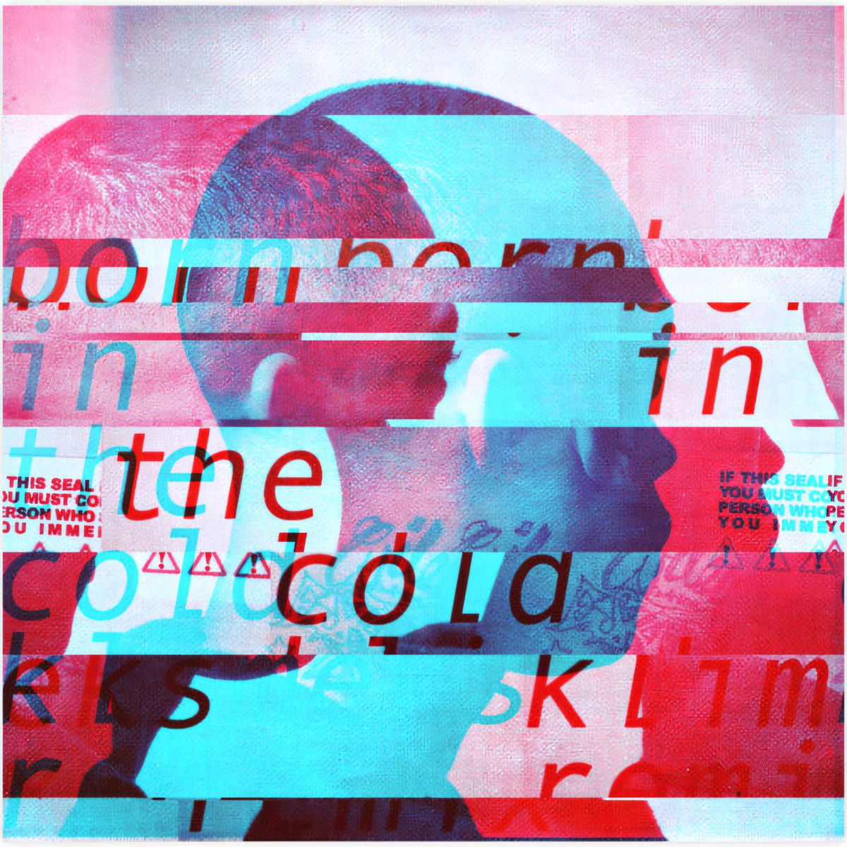 Album cover of Born In The Cold
