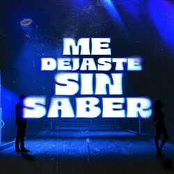 Cover of Me Dejaste Sin Saber