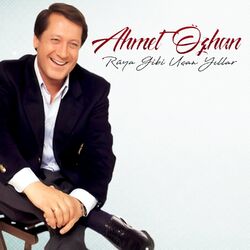 Cover of Rüya Gibi Uçan Yıllar