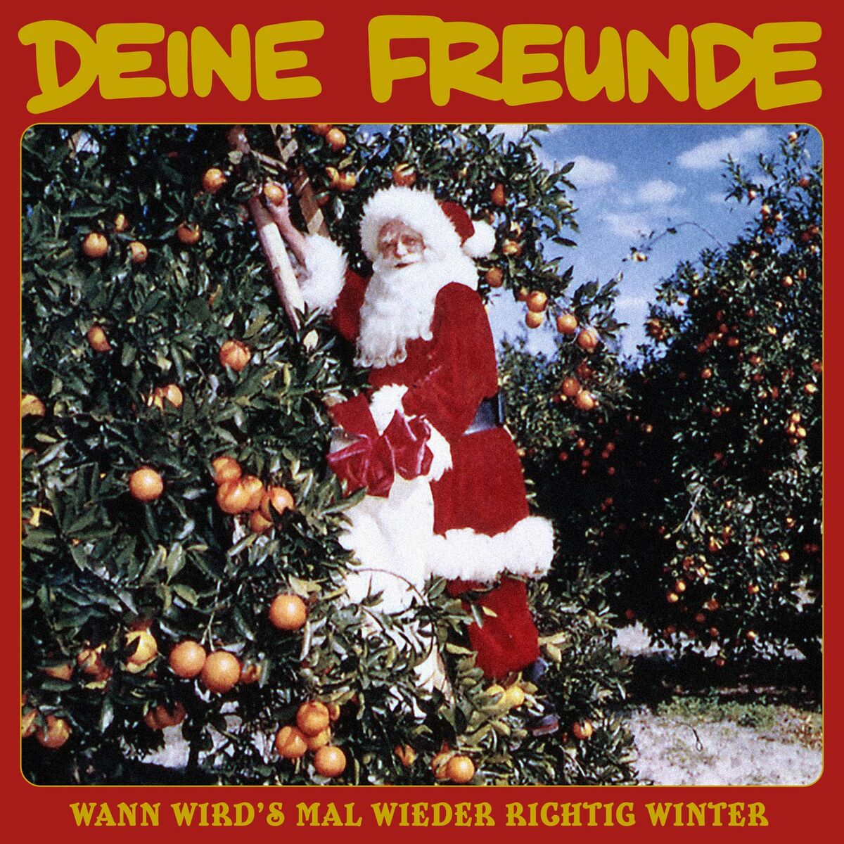 Album cover of Wann wird's mal wieder richtig Winter