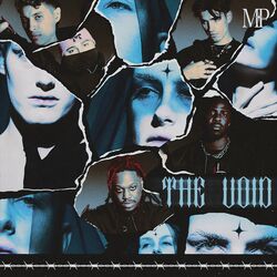 Cover of The Void