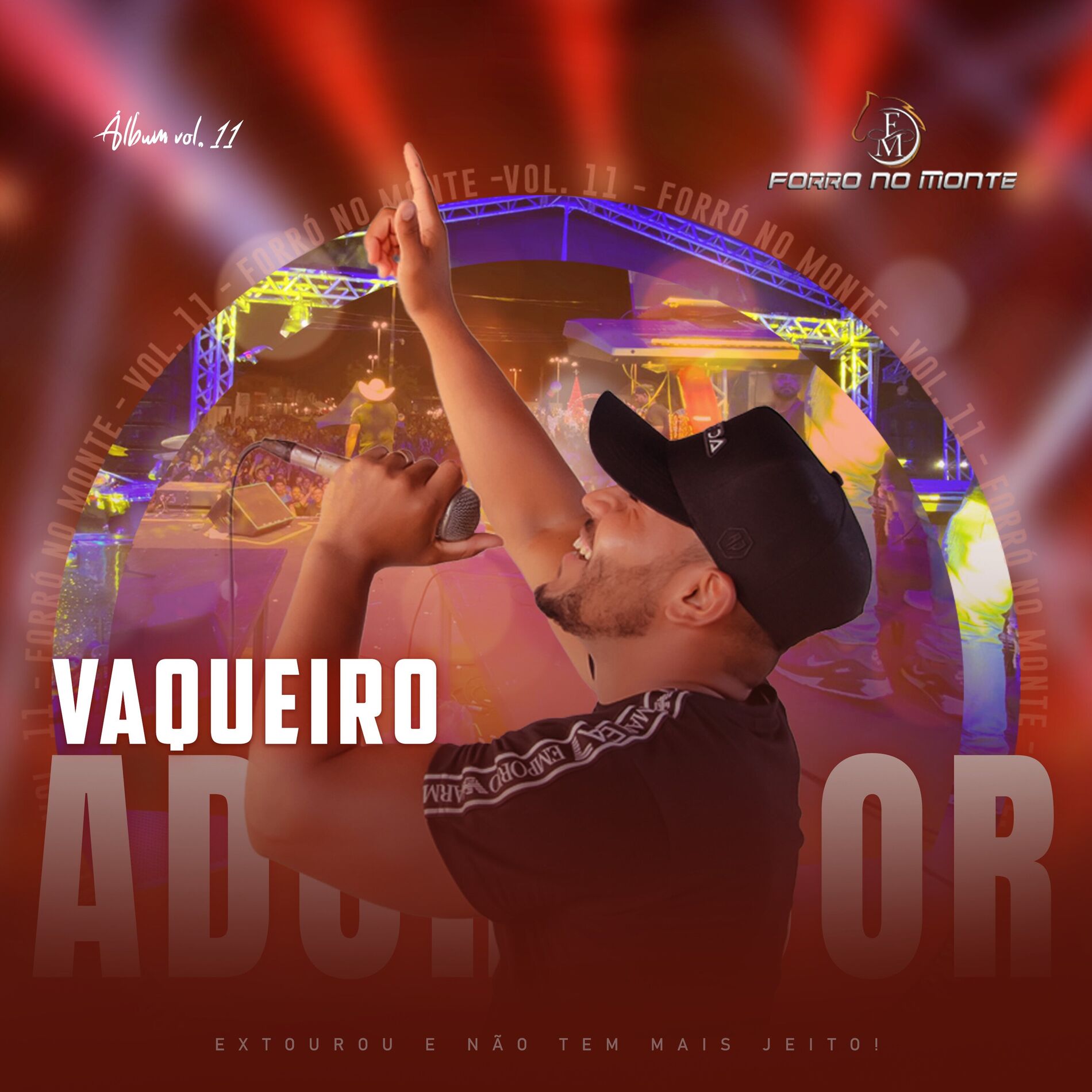 Album cover of Forró no Monte Vl.11