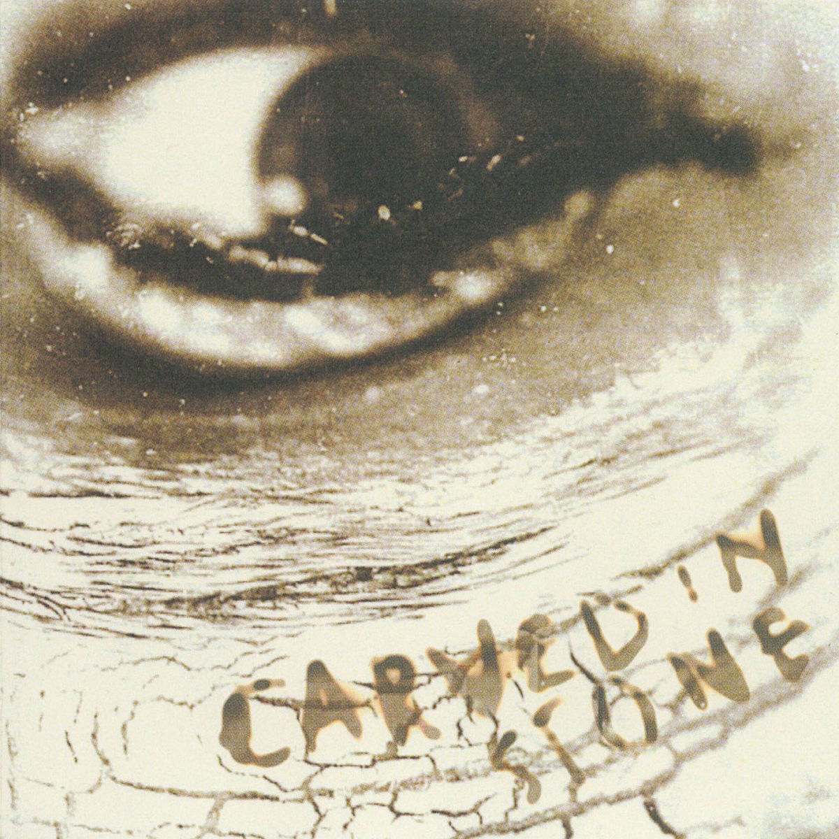 Album cover of Carved In Stone